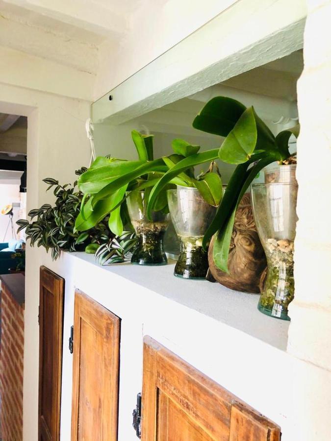 Casa Torre San Lorenzo ピサ エクステリア 写真
